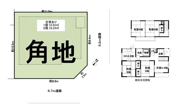 双葉